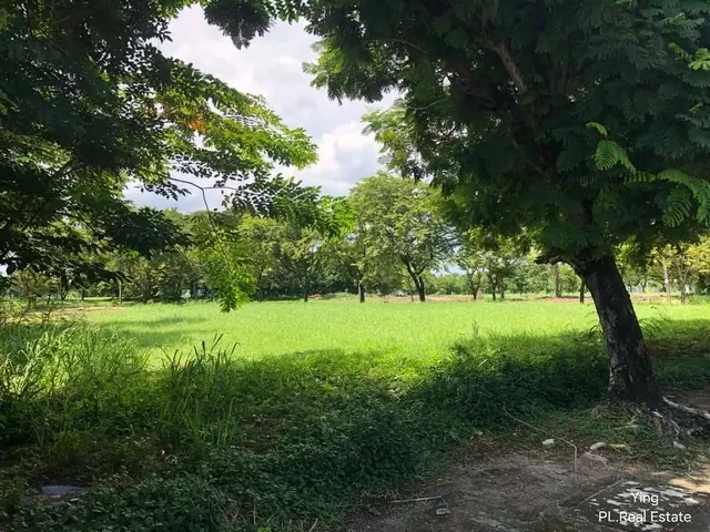 ขายที่ดิน 477 ตร.ว. ในหมู่บ้าน Lake Wood บางพลี (LS1013)