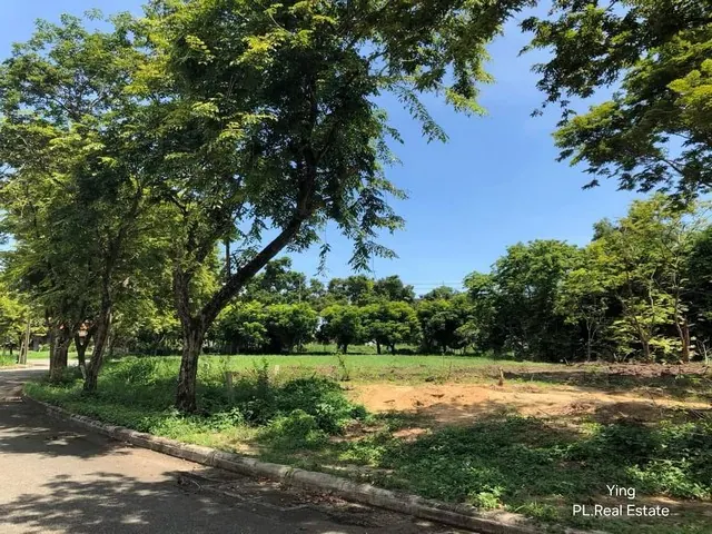 ขายที่ดิน 477 ตร.ว. ในหมู่บ้าน Lake Wood บางพลี (LS1013)