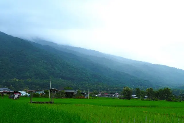 ขายที่ดินทำเลทอง วิวภูเขาฟูจิปัว เหมาะสำหรับสร้างธุรกิจในฝัน ร้านกาแฟ ที่พัก โฮมสเตย์  ร้านอาหาร ใกล้แหล่งท่องเที่ยวปัว เดินทางสะดวก
