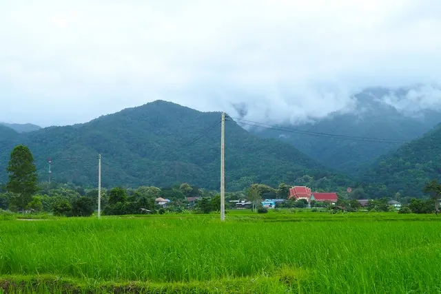 ขายที่ดินทำเลทอง วิวภูเขาฟูจิปัว เหมาะสำหรับสร้างธุรกิจในฝัน ร้านกาแฟ ที่พัก โฮมสเตย์  ร้านอาหาร ใกล้แหล่งท่องเที่ยวปัว เดินทางสะดวก