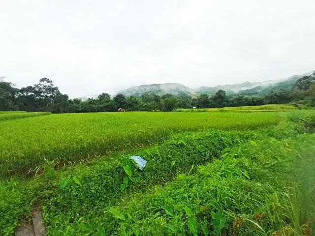 ขายที่ดินติดน้ำมาง บ่อเกลือ เนื้อที่ 5 ไร่ เหมาะสำหรับลงทุน