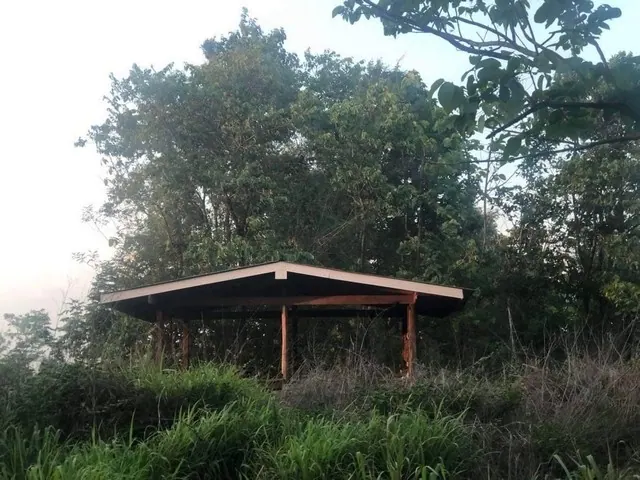 ขายสวนยาง 107 ไร่ 3 งาน วังหิน เมืองตาก ราคาต่ำกว่าประเมิน