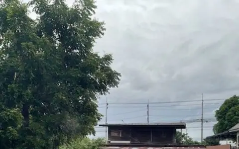 ขายที่ดิน ติดถนนสุวินทวงศ์ 2 แปลง 318 ตรว. หนองจอก กรุงเทพ