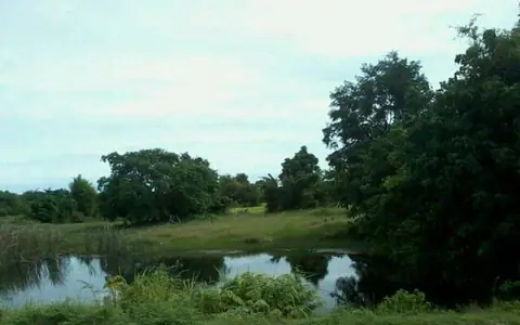 ขายที่ดินเปล่าแปลงสวย ขนาดที่ดิน 24 ไร่ 24 ตร.ว. ที่ดินสีเขียว ด้านหน้าติดถนนทางหลวงชนบท ใกล้ตลาดนิคมชายแดน อ.อรัญประเทศ จ.สระแก้ว