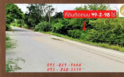 ขายถูกที่ดิน 49-2-98 ไร่ มีรายได้ทุกเดือน ติดถนนคอนกรีต 4 เลนเลียบคลอง11 น้ำไฟฟ้าพร้อมทำเกษตรหรือแบ่งแปลงขาย อ.หนองเสือ ปทุมธานี