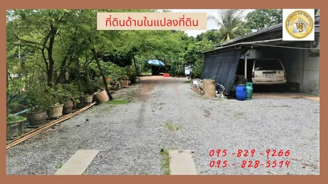 ขายถูกที่ดิน 49-2-98 ไร่ มีรายได้ทุกเดือน ติดถนนคอนกรีต 4 เลนเลียบคลอง11 น้ำไฟฟ้าพร้อมทำเกษตรหรือแบ่งแปลงขาย อ.หนองเสือ ปทุมธานี