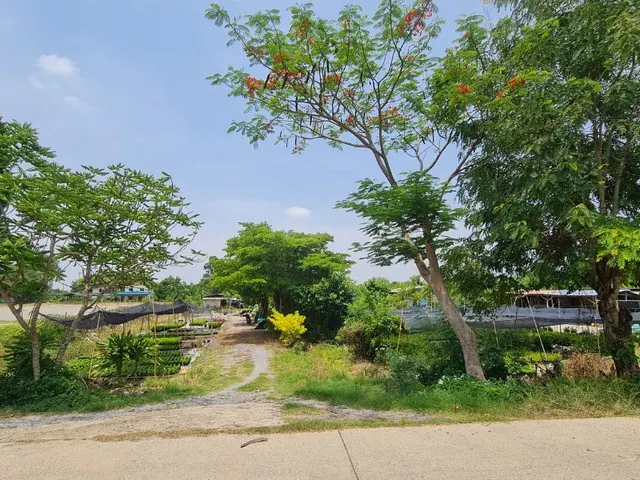 ขายที่ดินเปล่า ทำเลดี 6ไร่ 78 ตร.วา ซอยวัดพระเงิน บางม่วง นนทบุรี
