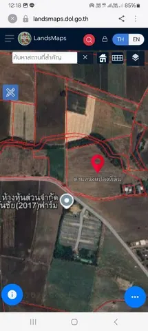 ขายด่วนที่ดินแปลงสวย อำเภอหนองม่วง จังหวัดลพบุรี เนื้อที่ 25 ไร่
