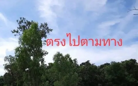 ขายที่ดินอำเภอพนา จังหวัดอำนาจเจริญ เนื้อที่ 7 ไร่ 3 งาน 28 ตารางวา