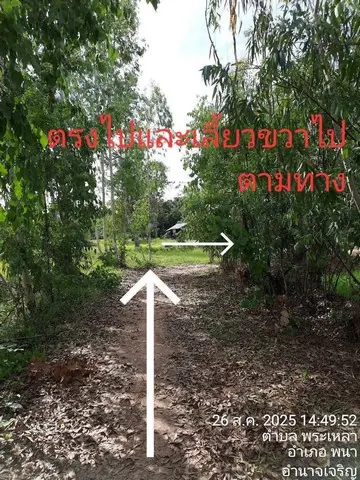 ขายที่ดินอำเภอพนา จังหวัดอำนาจเจริญ เนื้อที่ 7 ไร่ 3 งาน 28 ตารางวา