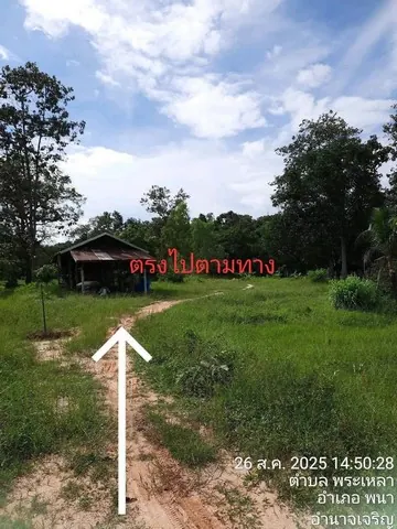 ขายที่ดินอำเภอพนา จังหวัดอำนาจเจริญ เนื้อที่ 7 ไร่ 3 งาน 28 ตารางวา