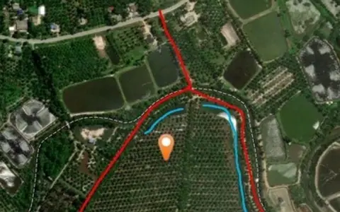 ขายที่ดินพร้อมสวนปาล์มผืนใหญ่ อ.ไชยา จ.สุราษฎร์ธานี เนื้อที่ประมาณ 200 ไร่