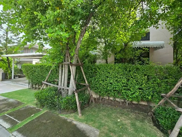 ขายด่วน บ้านเดี่ยวใหญ่สุดในโครงการ พร้อมโฮมออฟฟิศ 2 ชั้น ครบจบในที่เดียว คณาสิริ ชัยพฤกษ์-วงแหวน ติดถนนบางกรวย-ไทรน้อย บางบัวทอง นนทบุรี