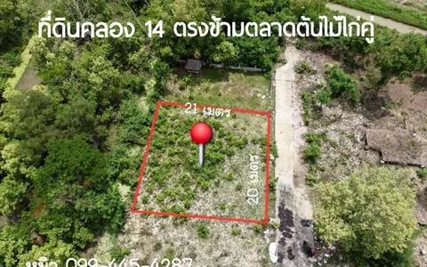 ขายที่ดิน คลอง 14 ธัญบุรี ปทุมธานี ตรงข้ามตลาดไก่คู่ 100วา ราคาถูก