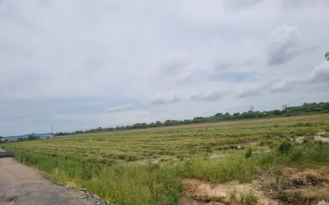 ขายที่ดินเขต EEC เมืองฉะเชิงเทรา 15–20 ไร่ ราคาเริ่ม 37.5 ล้านบาท