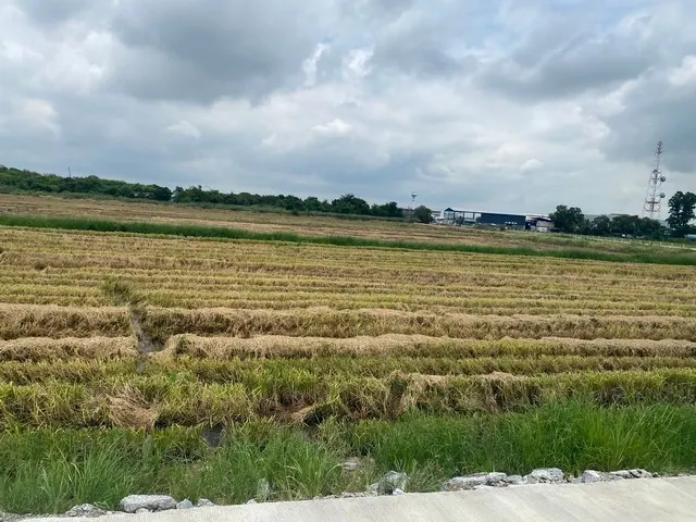 ขายที่ดินเขต EEC เมืองฉะเชิงเทรา 15–20 ไร่ ราคาเริ่ม 37.5 ล้านบาท