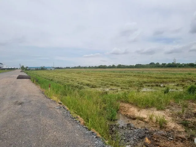 ขายที่ดินเขต EEC เมืองฉะเชิงเทรา 15–20 ไร่ ราคาเริ่ม 37.5 ล้านบาท