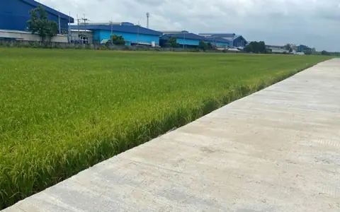 ขายที่ดิน 27 ไร่ แปลงสวย ติดถนนคอนกรีต กว้าง 8-10 เมตร  เขต EEC อ.เมือง ฉะเชิงเทรา  ผังสีม่วงจุดสีขาว