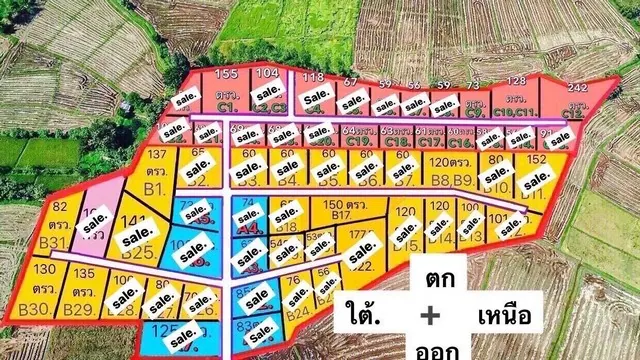 ขายที่ดินเริ่ม120ตรว. 540,000บาท ฟรีโอน น้ำ ไฟฟ้า ถนน บ.ดอกแดง ต.สง่าบ้าน ดอยสะเก็ด เชียงใหม่