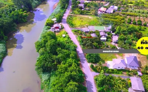 ขายที่ดินเปล่า เริ่ม 60ตรว. 280,000บ. ฟรีโอน ถนน น้ำ ไฟฟ้า ต.สันทราย อ.สารภี เชียงใหม่