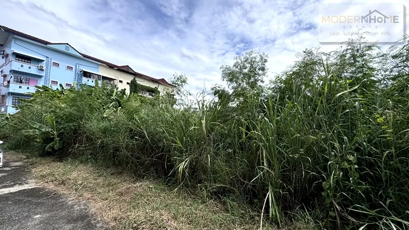 ขายที่ดินเปล่า 1 ไร่ ซอยแจ้งวัฒนะ-ปากเกร็ด23 บางพูด ปากเกร็ด นนทบุรี