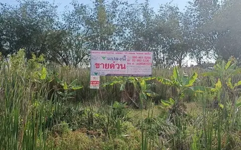 ที่ดินเปล่าขนาด 2 ไร่ ถมแล้วบางส่วน ต.ตลาด อ.เมือง จ.มหาสารคาม