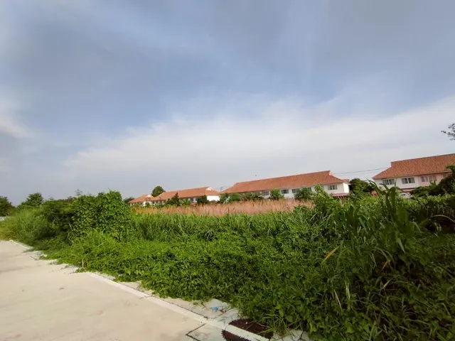 ขายที่ดินบางพลี รวม 4 ไร่ 93 ตร.ว. แบ่งขายเริ่ม 1 ไร่ ราคาเริ่ม 10 ล้านบาท
