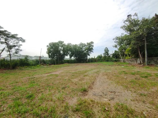 ขายที่ดิน 450 ตร.ว. ลำลูกกาคลอง 2 คูคต