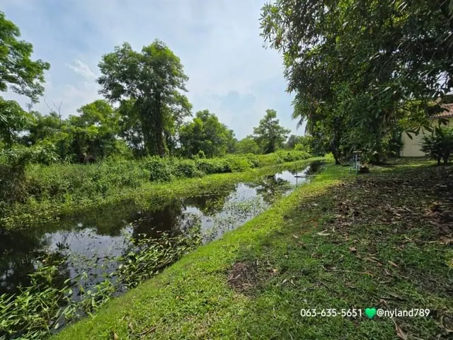 ขายบ้านสวน 1 ไร่ ต.บ้านพร้าว อ.บ้านนา จ.นครนายก รูปที่สี่เหลี่ยมสวย แถมเฟอร์นิเจอร์ทั้งหมด ถูกสุดในโครงการนี้