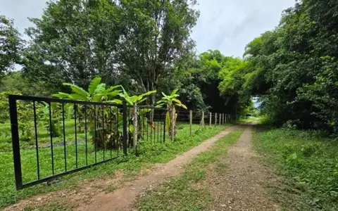ขายที่สวนแถมบ้าน 3 หลังพร้อมโรงจอดรถและห้องเก็บของ ต.ศรีกระอางค์ อ.บ้านนา จ.นครนายก บรรยากาศร่มรื่น เงียบสงบ