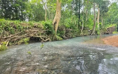ขายที่ติดลำธาร 1 ไร่ ต.นาหินลาด อ.ปากพลี จ.นครนายก เข้าจากถนนลากยางประมาณ 1 กม.