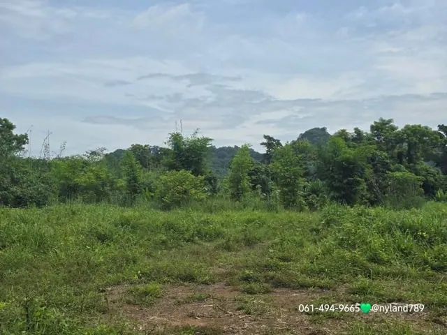 ขายที่ติดลำธาร 1 ไร่ ต.นาหินลาด อ.ปากพลี จ.นครนายก เข้าจากถนนลากยางประมาณ 1 กม.