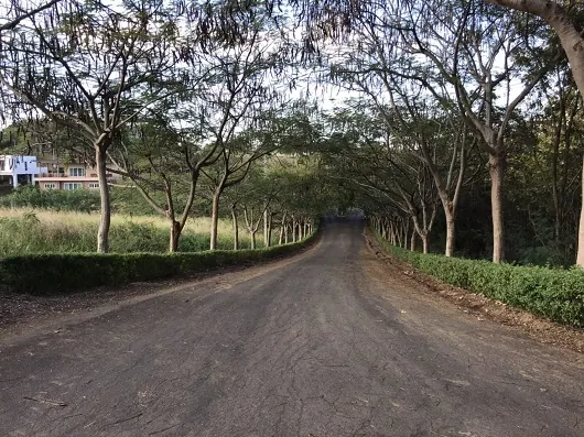 โอกาสเป็นเจ้าของบ้านหรู ใจกลางธรรมชาติ สัมผัสวิวเขาแบบ 360 องศา!