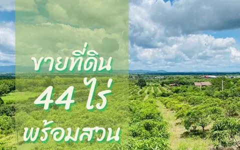 ขายที่ดินพร้อมสวนติดเชิงเขา ราคาถูก  ทำเลทอง อำเภอสอยดาว จังหวัดจันทบุรี (เจ้าของขายเอง)