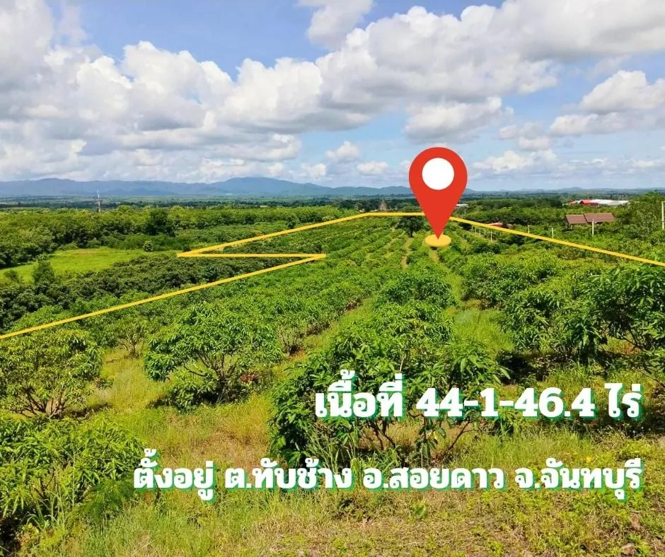 ขายที่ดินพร้อมสวนผลไม้ติดเชิงเขา สอยดาว จันทบุรี 44 ไร่ 1 งาน 46.4 ตร.ว.