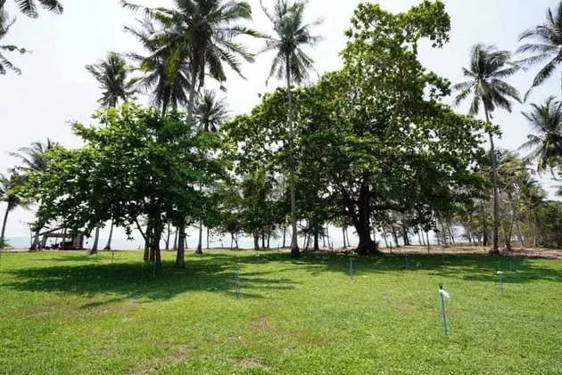 ขายบ้านติดทะเล ทำเลดี  อ.บางสะพาน จ.ประจวบคีรีขันธ์