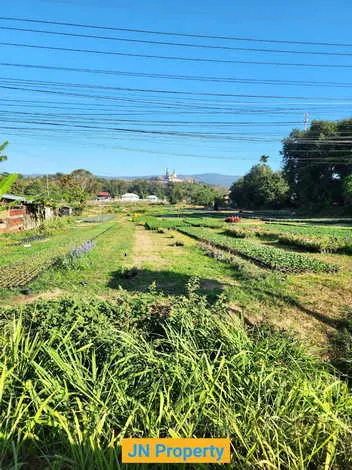 ขายที่ดินติดถนน เลย–หล่มสัก ภูเรือ แบ่งขายขั้นต่ำ 2 ไร่ ราคาเริ่ม 8 ล้านบาท