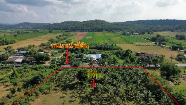 ขายที่ดินพร้อมสวน ทำเลดี วิวสวย ห่างกรุงเทพเพียง 140 กม. ใกล้เขื่อนป่าสักชลสิทธิ์ อ.พัฒนานิคม จ.ลพบุรี