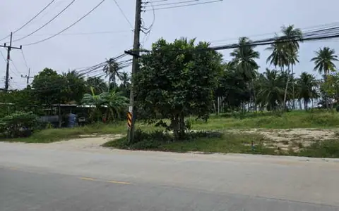 ขาย/เช่า ที่ดินเปล่า เหมาะทำบ้านพักอาศัย ติดถนนหลัก