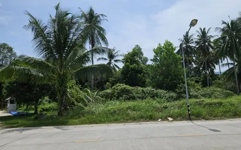 ขายที่ดินเปล่า เกาะพะงัน ติดถนนหลัก อยู่ในแหล่งชุมชน ทำเลดี