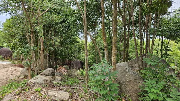 ขายที่ดินวิวภูเขาและทะเล เกาะพะงัน 10 ไร่ ราคา 9.8 ล้านบาท