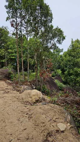 ขายที่ดินวิวภูเขาและทะเล เกาะพะงัน 10 ไร่ ราคา 9.8 ล้านบาท
