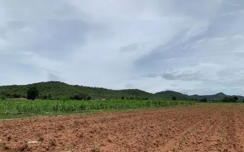ขายด่วน ที่ดินสวยราคาถูก  อำเภอพนมทวน จังหวัดกาญจนบุรี