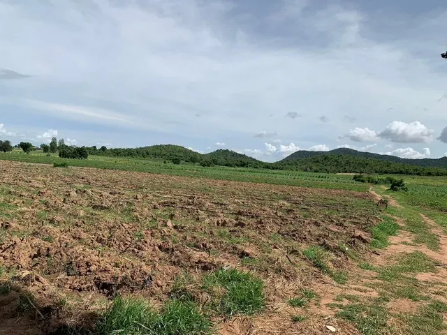 ขายด่วน ที่ดินสวยราคาถูก  อำเภอพนมทวน จังหวัดกาญจนบุรี