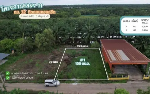 ขายที่ดินคลอง 11 แปลง 2 หนองเสือ ปทุมธานี 100 ตารางวา ถนนคอนกรีต ไฟฟ้าประปาพร้อม เหมาะสร้างบ้านสวนในงบไม่สูง