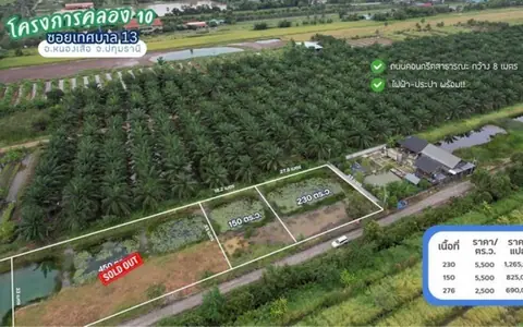 ขายที่ดินคลอง 10 ซอยเทศบาล 13 หนองเสือ ปทุมธานี 230 ตารางวา ไฟฟ้าประปาพร้อม เหมาะสร้างบ้านสวนหรือซื้อเก็บ