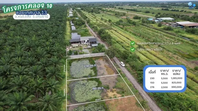 ขายที่ดินคลอง 10 ซอยเทศบาล 13 หนองเสือ ปทุมธานี 230 ตารางวา ไฟฟ้าประปาพร้อม เหมาะสร้างบ้านสวนหรือซื้อเก็บ