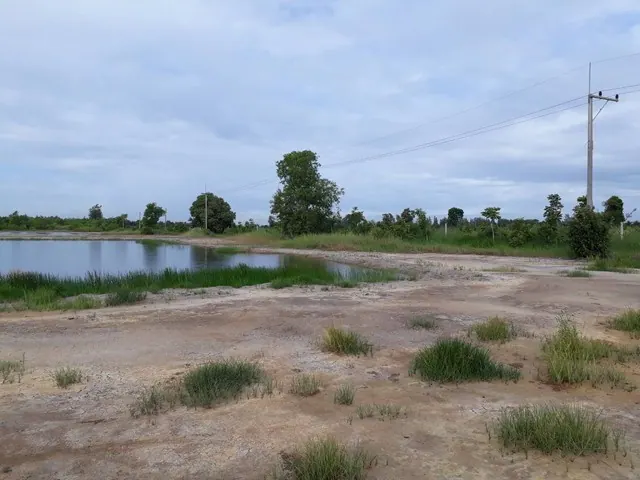 Land for sale in Khlong 13, Nong Suea: 5–10 rai at THB 700,000 per rai
