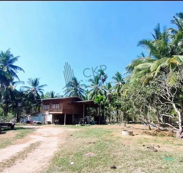 ขาย ที่ดินสวนมะพร้าวพร้อมบ้านสวน ห่างจากหาดบ้านกรูดเพียง 2 กิโลเมตร