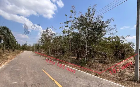 ขาย ที่ดินเปล่า สวนปาล์ม เก็บผลผลิตได้ ไม่ไกลจากหัวหิน ขนาด 9 ไร่ 184 ตร.วา ต.ไร่ใหม่พัฒนา อ.ชะอำ เพชรบุรี